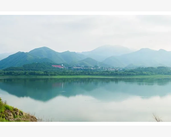 清肺通痹汤：中医理疗呼吸系统疾病的宝贵经验