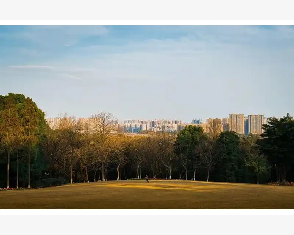 儿童脾胃不吸收如何应对：多吃少缺的秘密